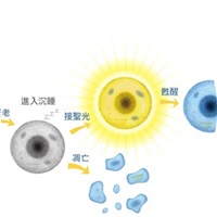 超生命教育訓練講師養成訓練